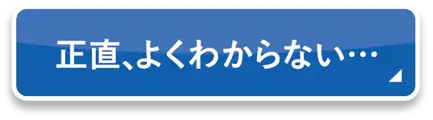 正直、よくわからない・・・